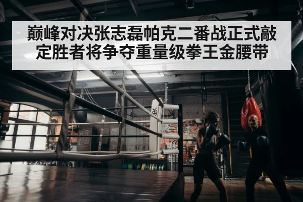 boxer training